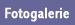 fotogalerie